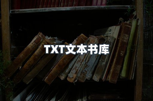 TXT文本书库